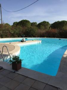 Annonce Vente 10 pi�ces Maison Cannet-des-maures 83