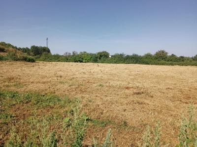 For sale Falaise 5 rooms 85 m2 Calvados (14700) photo 1
