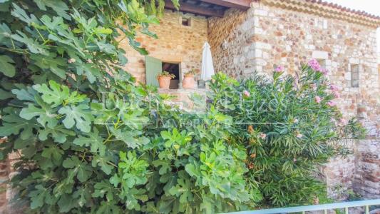 Acheter Maison Uzes 297000 euros