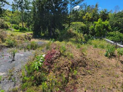 For sale Petite-ile 600 m2 Reunion (97429) photo 0