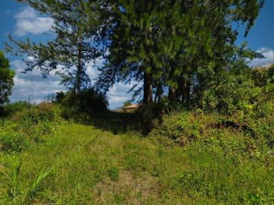 For sale Petite-ile 600 m2 Reunion (97429) photo 2