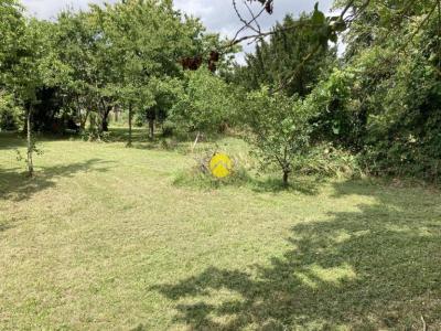 Annonce Vente Terrain Avord 18
