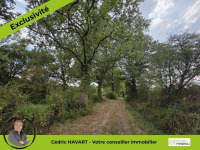 Annonce Vente Terrain Lignac 36