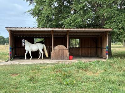Annonce Vente Prestige Roeze-sur-sarthe 72