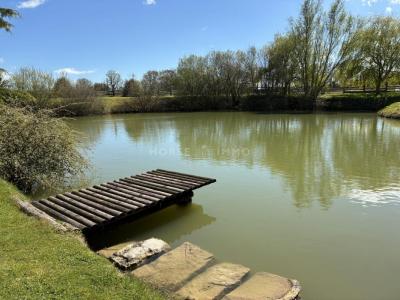 For sale Fleche 5 rooms 245 m2 Sarthe (72200) photo 2