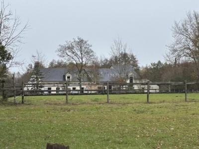 Annonce Vente Prestige Saumur 49