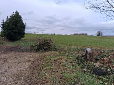Annonce Vente 4 pi�ces Maison  87
