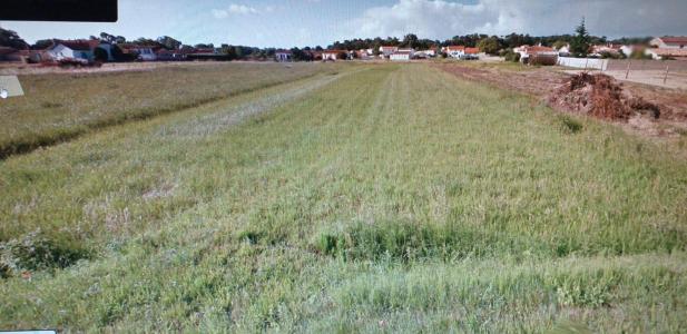 Annonce Vente Terrain Longeville-sur-mer 85