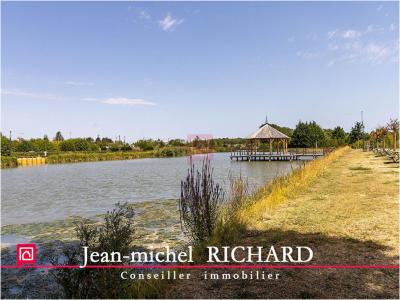 Annonce Vente 5 pi�ces Maison Selles-sur-cher 41