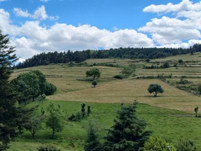 Acheter Maison Gluiras 169000 euros