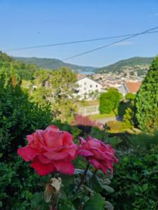 Annonce Vente 6 pi�ces Maison Gerardmer 88