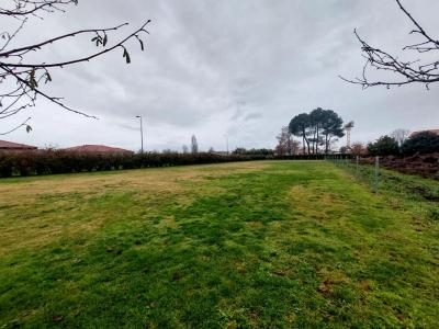 Acheter Terrain Soustons Landes