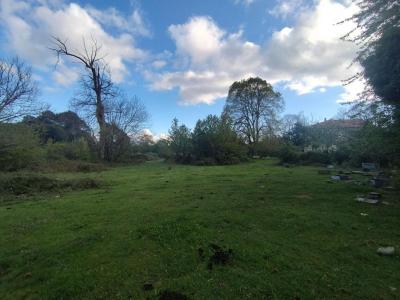 For sale Quenza 3000 m2 Corse (20122) photo 4