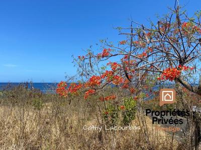 For sale Bouillante 2080 m2 Guadeloupe (97125) photo 0