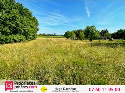 For sale Brinay 13 rooms 1242 m2 Cher (18120) photo 0