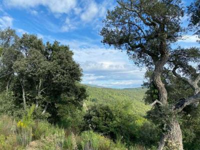 For sale Taillet 996 m2 Pyrenees orientales (66400) photo 0