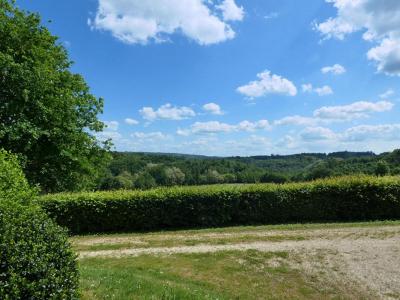 For sale Payzac 16 rooms 440 m2 Dordogne (24270) photo 4