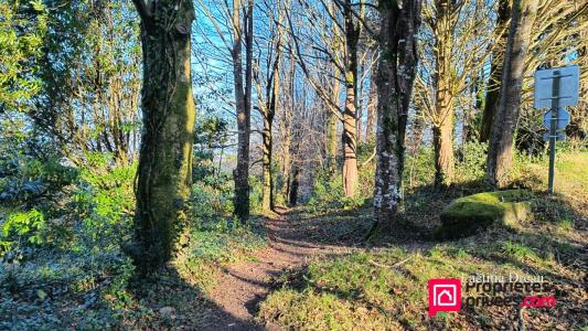 Annonce Vente Terrain Locronan 29