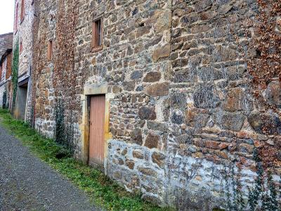 Acheter Maison Neronde Loire
