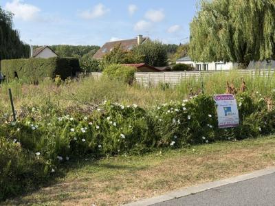 Acheter Terrain Rang-du-fliers Pas de calais