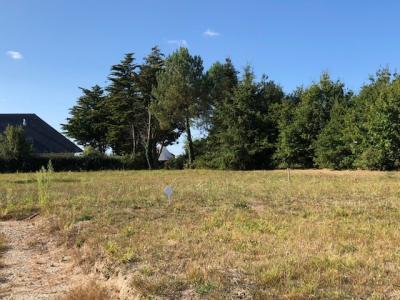 Annonce Vente Terrain Noyalo 56