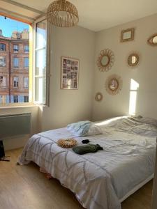 Annonce Location 3 pi�ces Appartement Toulouse 31