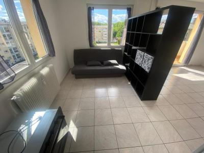 Annonce Location Appartement Hoenheim 67