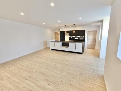 Acheter Maison Saint-max Meurthe et moselle