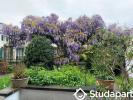 For rent Apartment Antony  14 m2