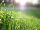 For sale Land Marseille-12eme-arrondissement  700 m2