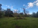 For sale Land Quenza  3000 m2