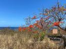 Vente Terrain Bouillante  2080 m2
