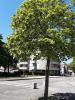 Location Appartement Hericourt  3 pieces 66 m2