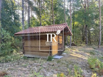 For sale Nancay 32767 m2 Cher (18330) photo 2