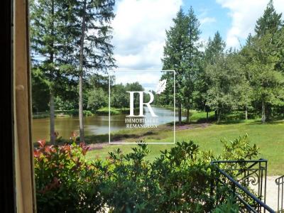 Annonce Vente Prestige Lamotte-beuvron 41
