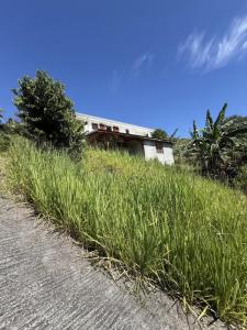 Annonce Vente 3 pi�ces Maison Carbet 972