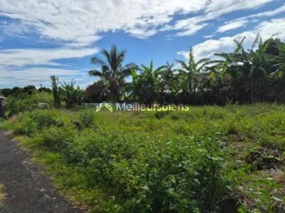 For sale Saint-benoit 300 m2 Reunion (97470) photo 0