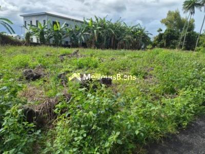 Annonce Vente Terrain Saint-benoit 974