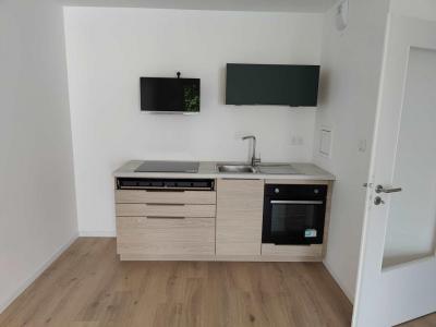 Annonce Location 2 pi�ces Appartement Bischheim 67