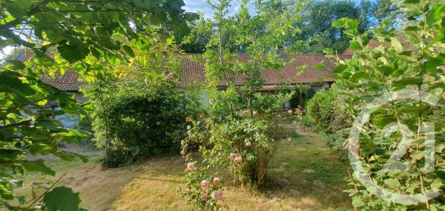 Annonce Vente 9 pi�ces Maison Douriez 62