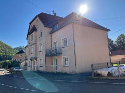 Annonce Location 4 pi�ces Appartement Malmerspach 68