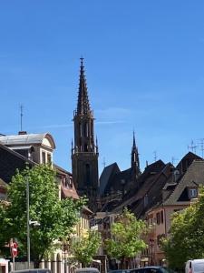 Louer Appartement Thann 451 euros
