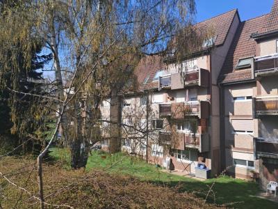 Annonce Location 2 pi�ces Appartement Vieux-thann 68