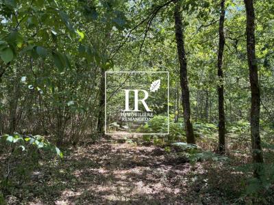 Annonce Vente Prestige Vannes-sur-cosson 45