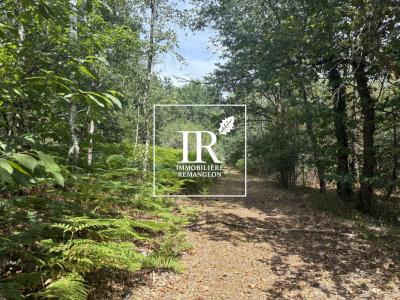 Acheter Prestige Vannes-sur-cosson Loiret