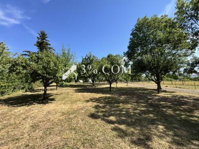 Annonce Vente Prestige Saessolsheim 67