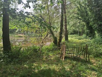 Acheter Terrain  Haute vienne