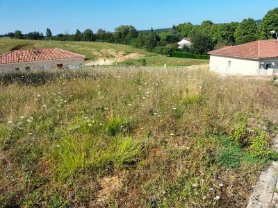 Acheter Terrain Mauvezin 56000 euros