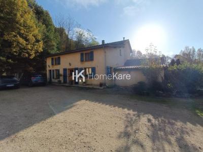 Acheter Maison 350 m2 Saint-marcet