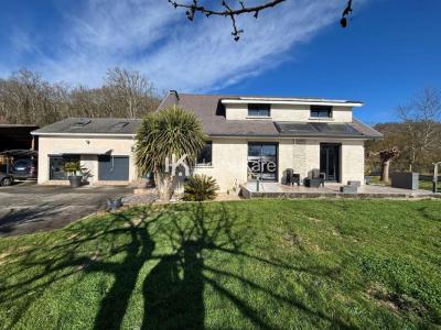Annonce Vente Prestige Villeneuve-de-riviere 31